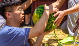 大学爆料吃瓜开眼界,吃瓜群众开眼界，校园风云录大揭秘